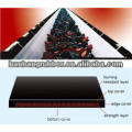 Heat Resistance Conveyor Belt of coal mine